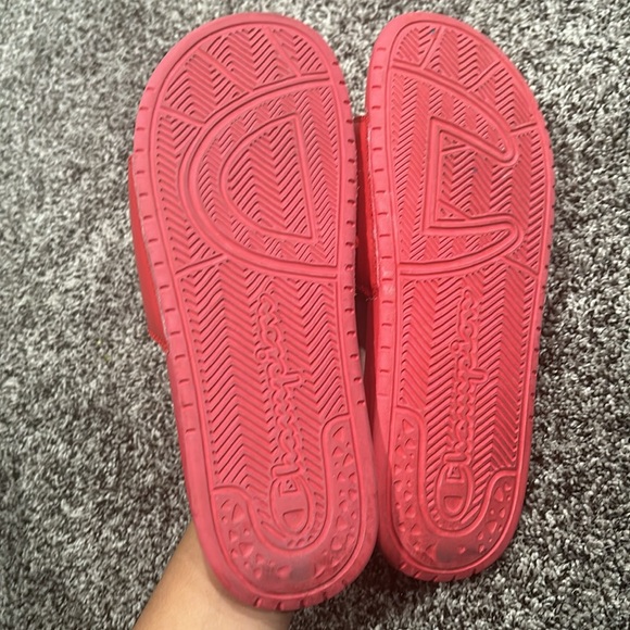 Champion Slides - Picture 3 of 4